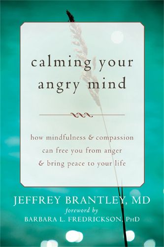 Cover image for Calming Your Angry Mind: How Mindfulness and Compassion Can Free You from Anger and Bring Peace to Your Life