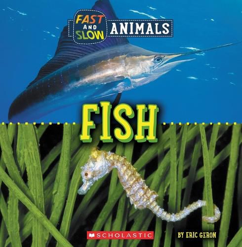 Cover image for Fast and Slow: Fish (Wild World)