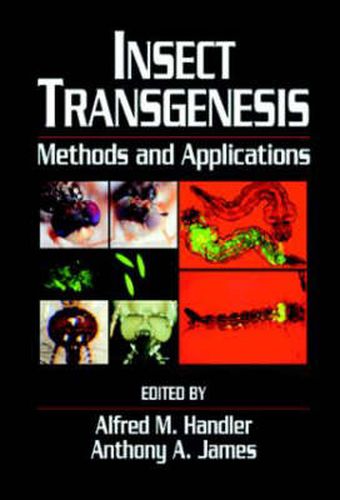 Cover image for Insect Transgenesis: Methods and Applications