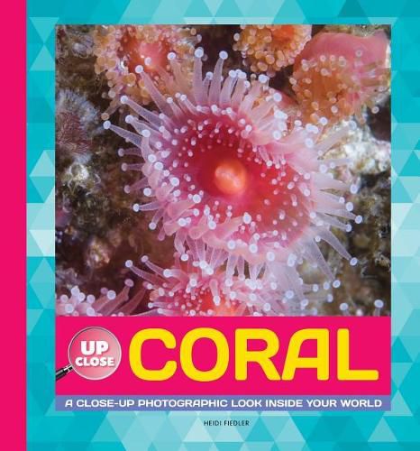 Cover image for Coral: A Close-Up Photographic Look Inside Your World