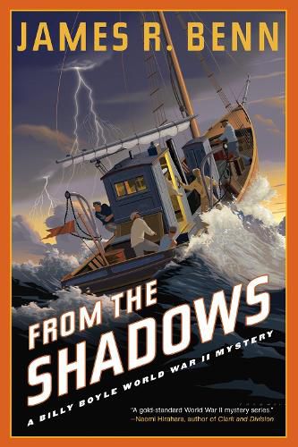 Cover image for From the Shadows
