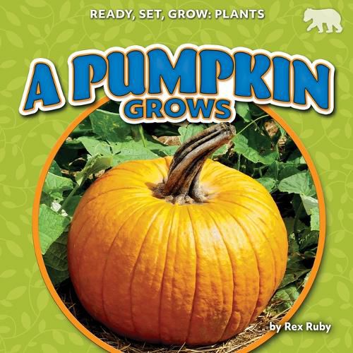 Cover image for A Pumpkin Grows