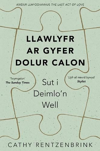 Llawlyfr ar Gyfer Dolur Calon