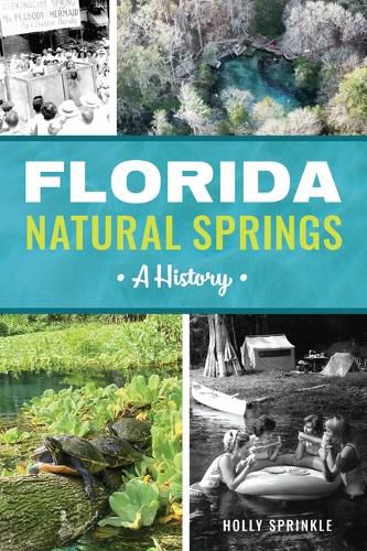 Cover image for Florida Natural Springs