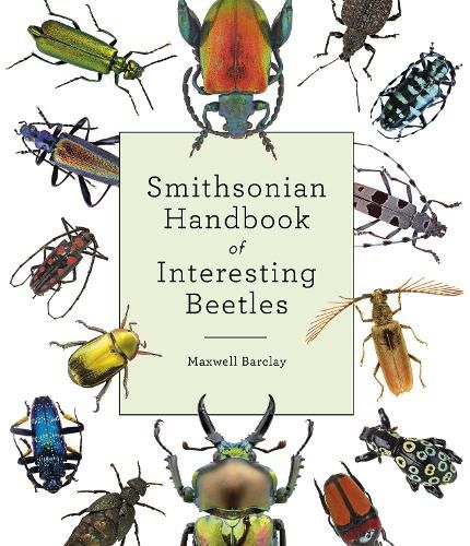 Cover image for Smithsonian Handbook of Interesting Beetles