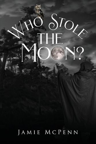 Cover image for Who Stole the Moon?