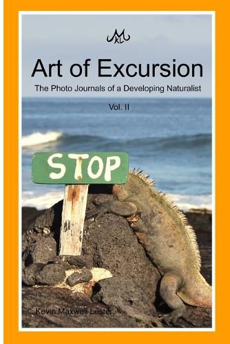 Cover image for Art of Excursion Vol. 2