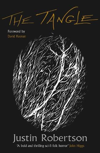 Cover image for The Tangle