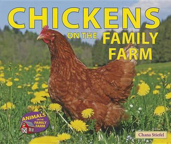 Chickens on the Family Farm