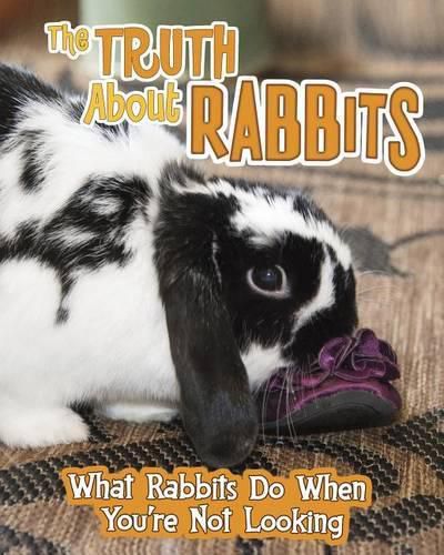 The Truth about Rabbits: What Rabbits Do When You're Not Looking