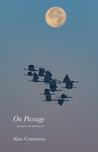 Cover image for On Passage