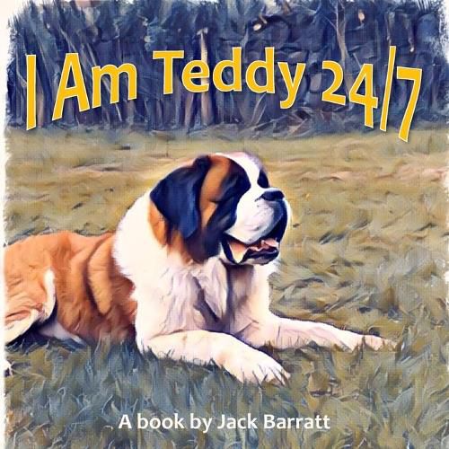 Cover image for I Am Teddy 24/7