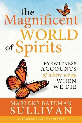 Cover image for The Magnificient World of Spirits: Eyewitness Accounts of Where We Go When We Die