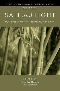 Cover image for Salt and Light, Volume 3