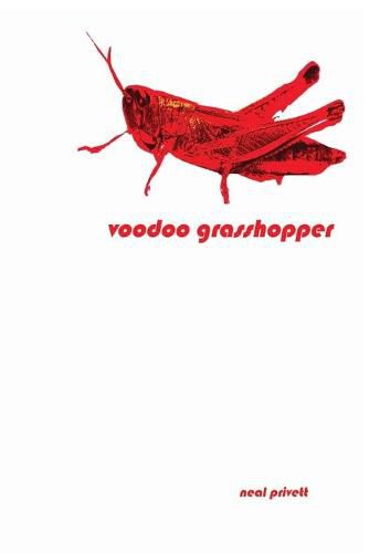 Cover image for Voodoo Grasshopper: Stories