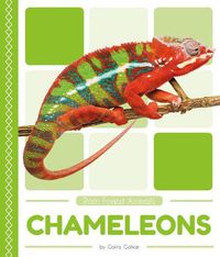 Cover image for Chameleons: Includes Qr Codes