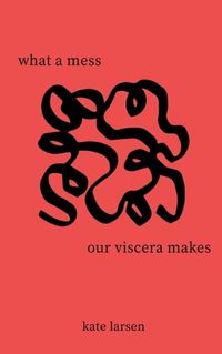 Cover image for what a mess our viscera makes