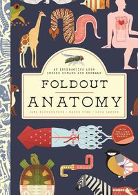 Cover image for Foldout Anatomy