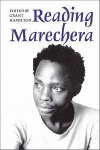 Cover image for Reading Marechera