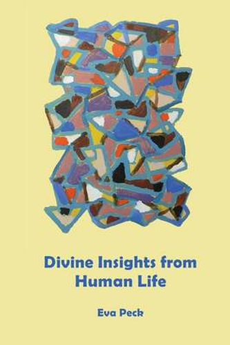 Cover image for Divine Insights from Human Life