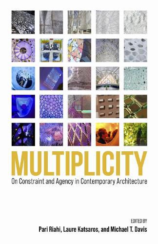 Cover image for Multiplicity