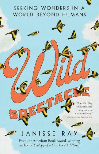 Cover image for Wild Spectacle: Seeking Wonders in a World beyond Humans