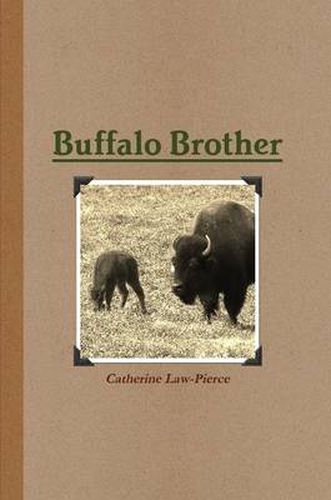 Cover image for Buffalo Brother