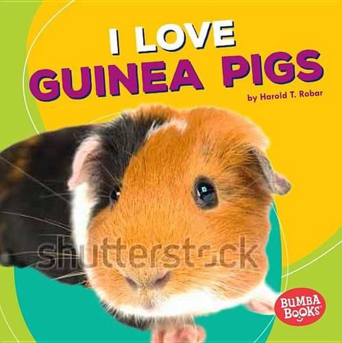 Cover image for I Love Guinea Pigs