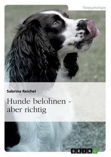 Cover image for Hunde Belohnen - Aber Richtig