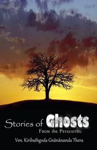 Cover image for Stories of Ghosts from the Petavatthu