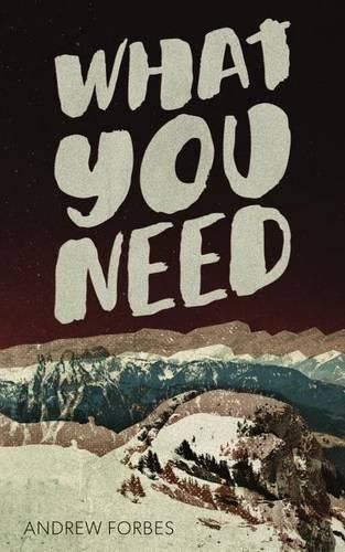 Cover image for What You Need