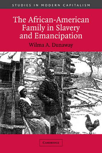 Cover image for The African-American Family in Slavery and Emancipation