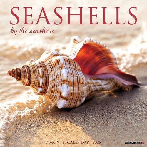 Cover image for Seashells 2026 12 X 12 Wall Calendar