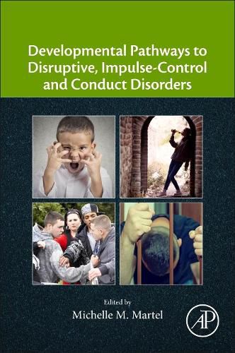 Cover image for Developmental Pathways to Disruptive, Impulse-Control, and Conduct Disorders