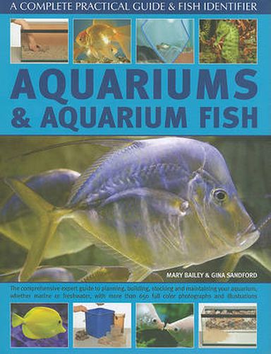 Cover image for Aquariums and Aquarium Fish