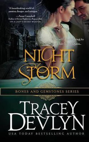 Cover image for Night Storm