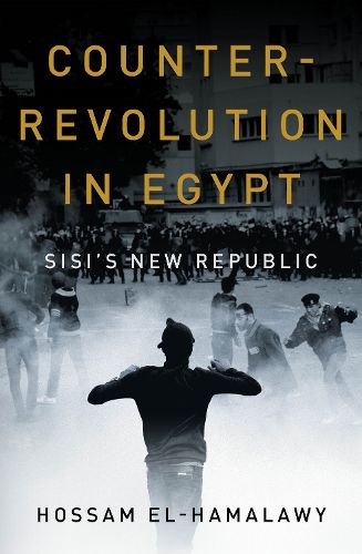 Cover image for Counterrevolution in Egypt