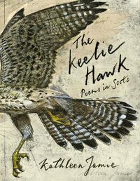 Cover image for The Keelie Hawk