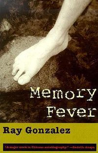 Cover image for Memory Fever