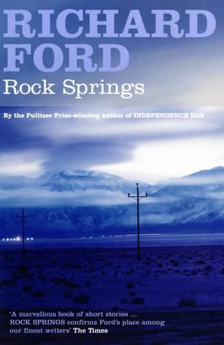 Cover image for Rock Springs