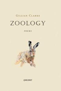 Cover image for Zoology
