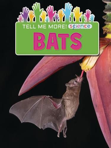 Cover image for Bats