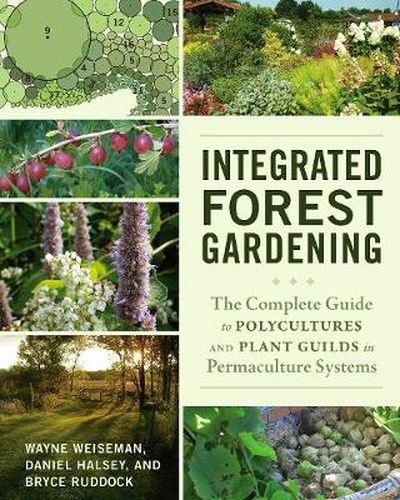 Cover image for Integrated Forest Gardening: The Complete Guide to Polycultures and Plant Guilds in Permaculture Systems