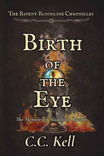 Cover image for Birth of the Eye