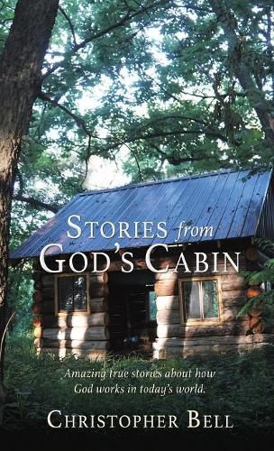 Cover image for Stories from God's Cabin