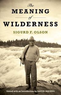 Cover image for The Meaning of Wilderness