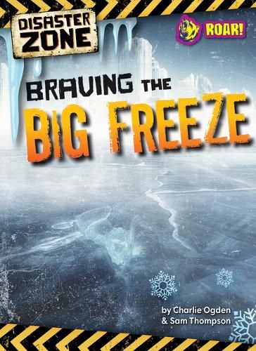 Cover image for Braving the Big Freeze
