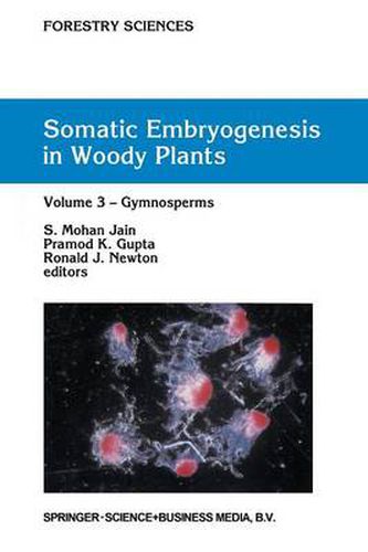 Somatic Embryogenesis in Woody Plants: Volume 3: Gymnosperms