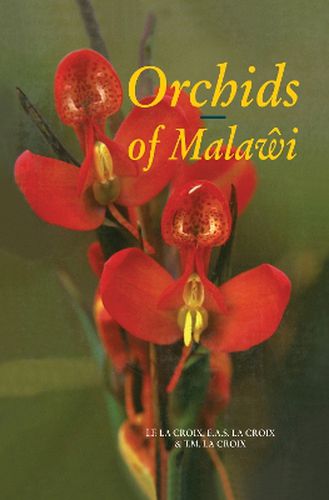 Cover image for Orchids of Malawi: The epiphytic and terrestrial orchids from South and East Central Africa