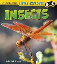 Cover image for Insects (Little Scientist)